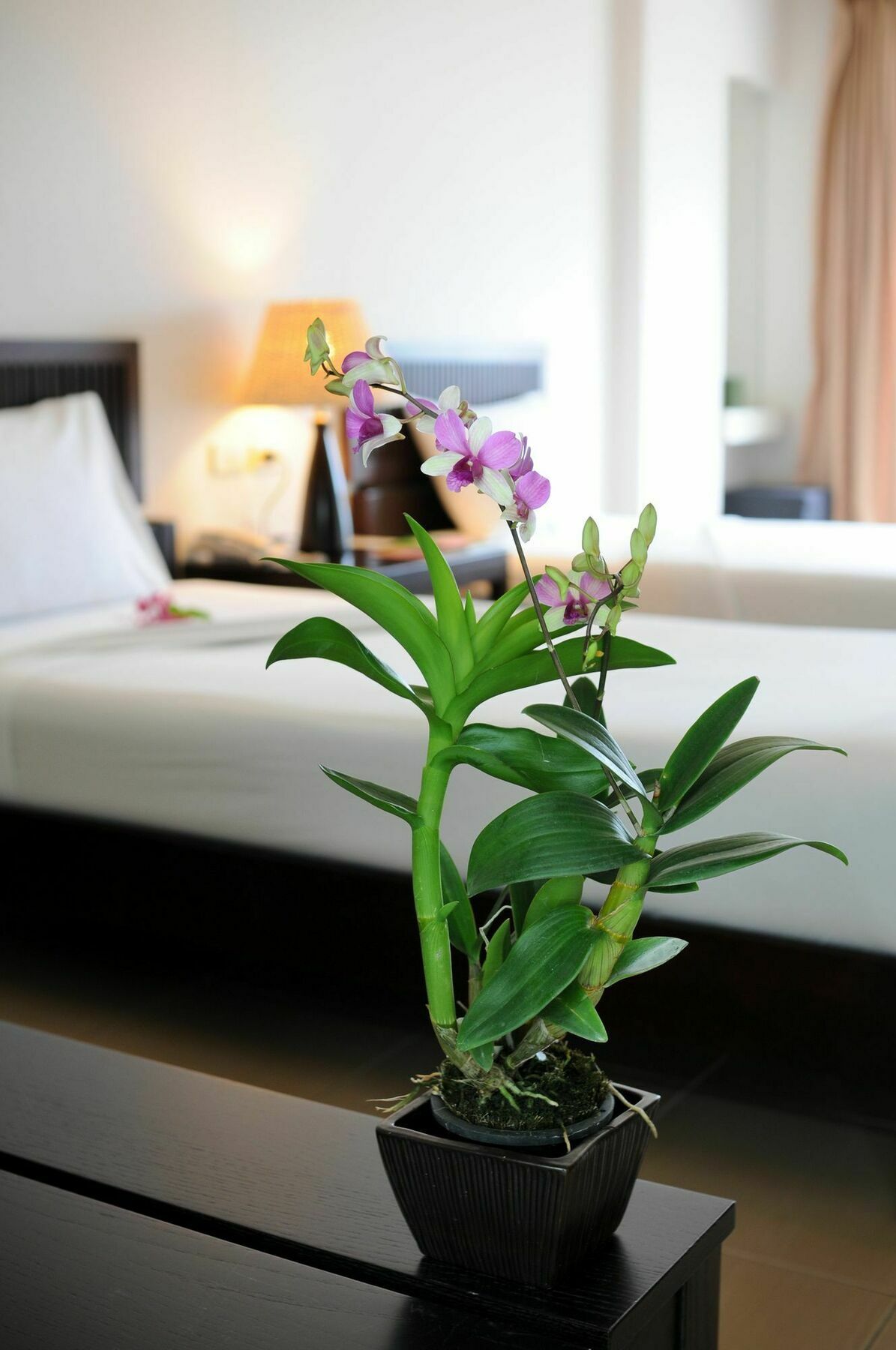 Kasemsarn Hotel Chanthaburi Bagian luar foto